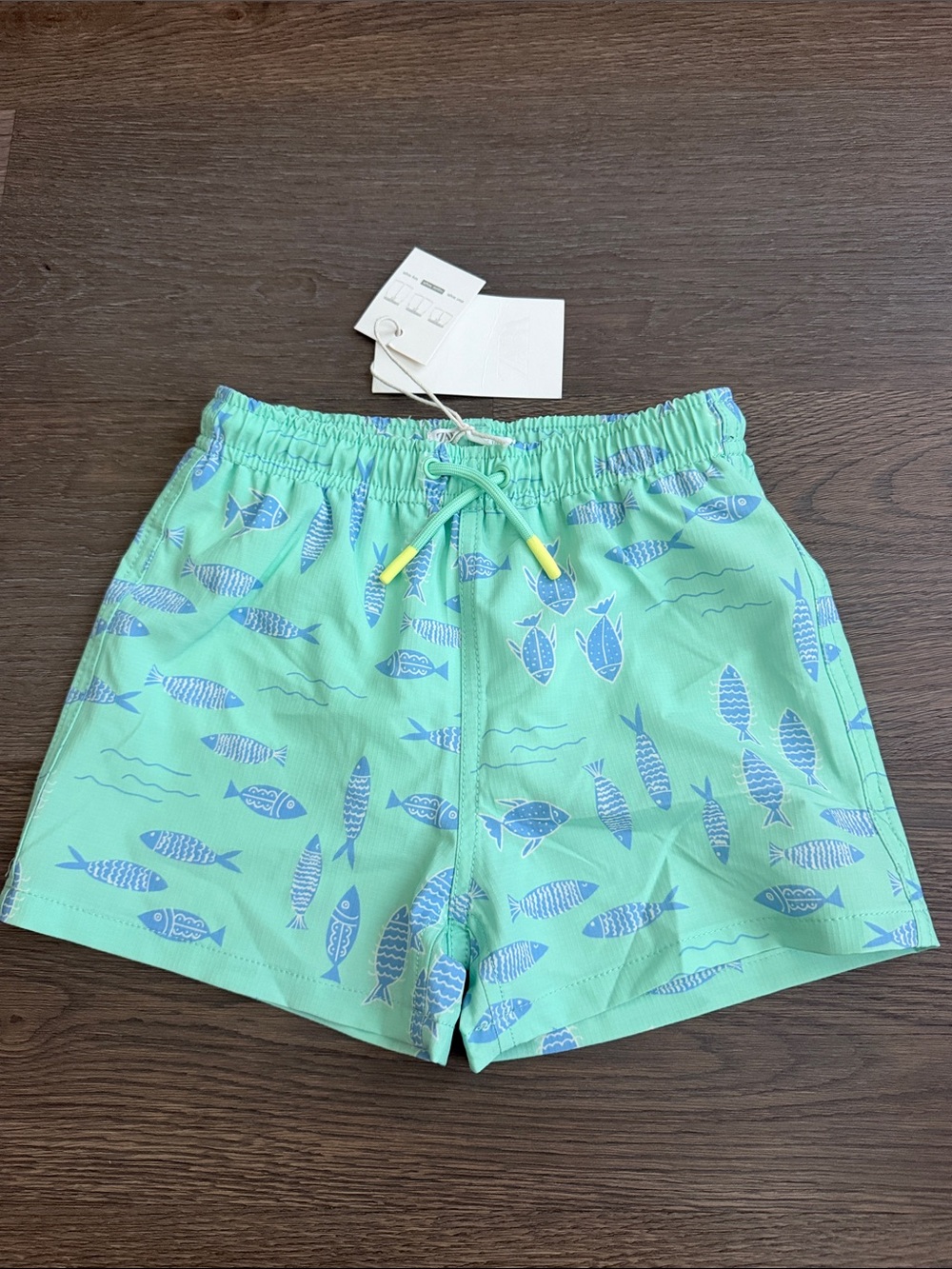 Zara Mint Green Swim Trunks with Light Blue Fish Print